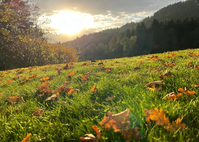 Διαμέρισμα Einfach Bei Uns Fresach