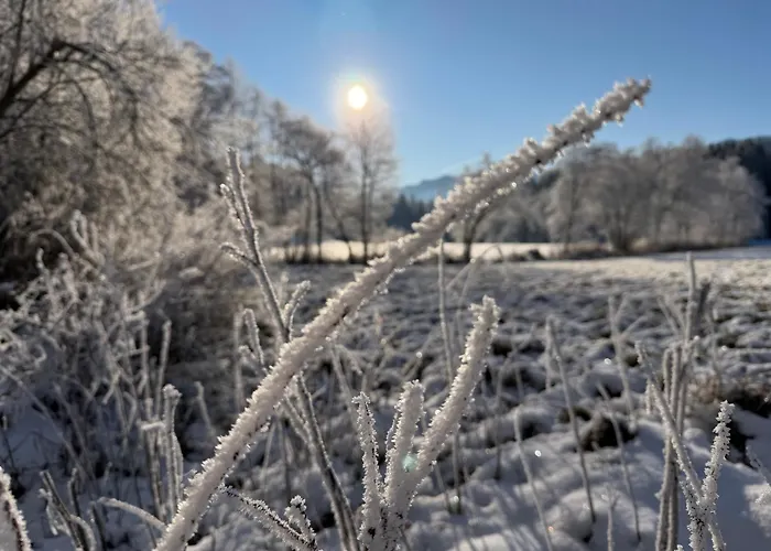 Einfach Bei Uns Lägenhet *